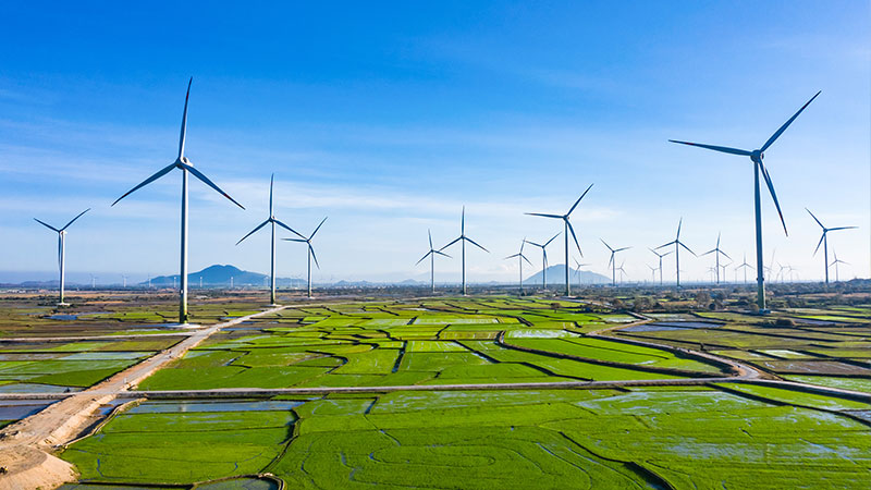 Nhà máy điện gió Trung Nam tại Huyện Thuận Bắc, Tỉnh Ninh Thuận có tổng công suất  51,95 megawatt (MW) có thể tốn từ 1-2 triệu USD cho mỗi MW để xây dựng. Do đó, cần một nhà cung cấp tín dụng như ngân hàng để cung cấp vốn.